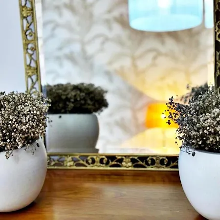 Hoibai, Bolboreta, Elegante, Centrico, Comodo 公寓 *