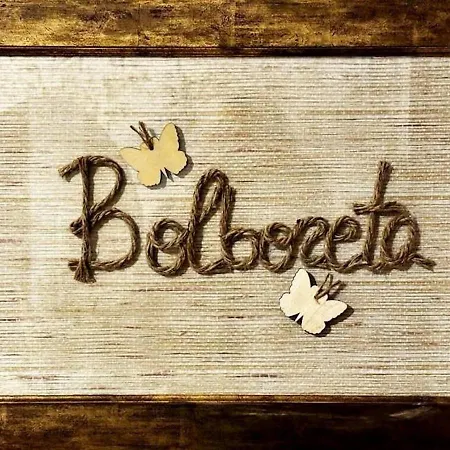 Hoibai, Bolboreta, Elegante, Centrico, Comodo 巴约讷